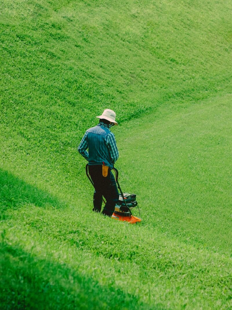 Lawn mowing on a green property